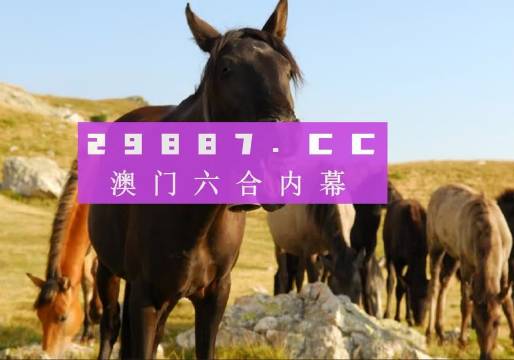 澳门管家婆-肖一码,安全性方案设计_MR16.222