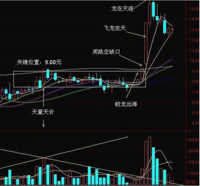 特朗普重申立场，不会抛售股票，决策背后的考量揭秘