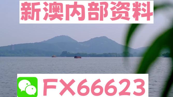 新澳2024正版资料免费公开,高效解答解释落实_运动版67.86.59