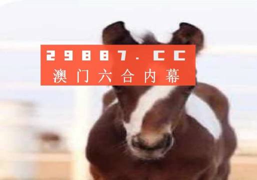 轩通 第4页