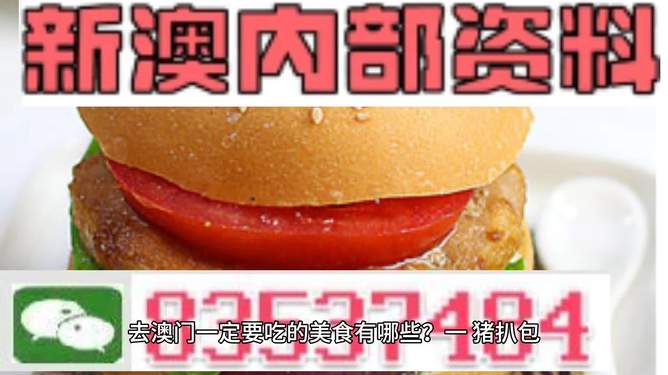 新澳门精准资料大全管家婆料,专业说明解析_安卓49.593