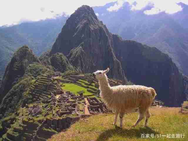 跨越山海识秘鲁，一段探寻异域文化的旅程