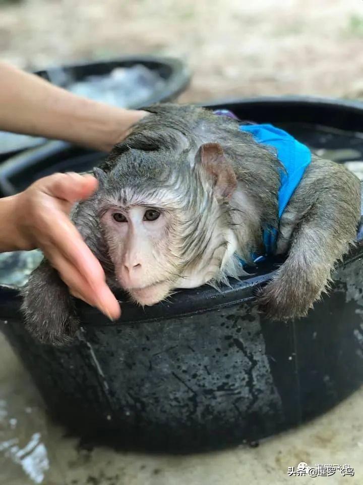 外媒，中国超重者奔向减肥训练营