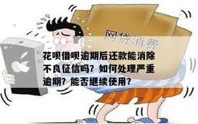 如何寻求法律帮助以维护个人权益？