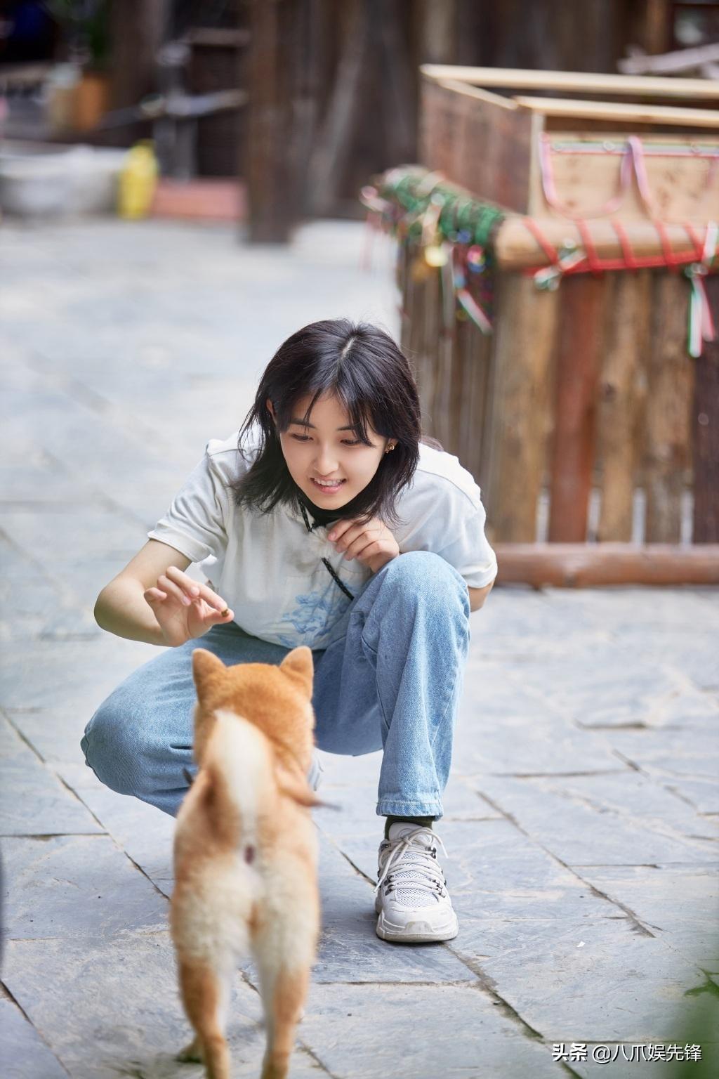 看法网舆论趋势与市场动向，深度解析与前瞻性探讨