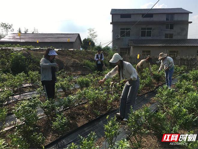 张家界永定区协合水库闸门钢索维护工作的深度解析与进展