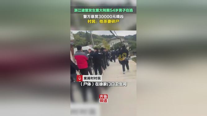 浙江诸暨重大刑案深度探究，反思与警示