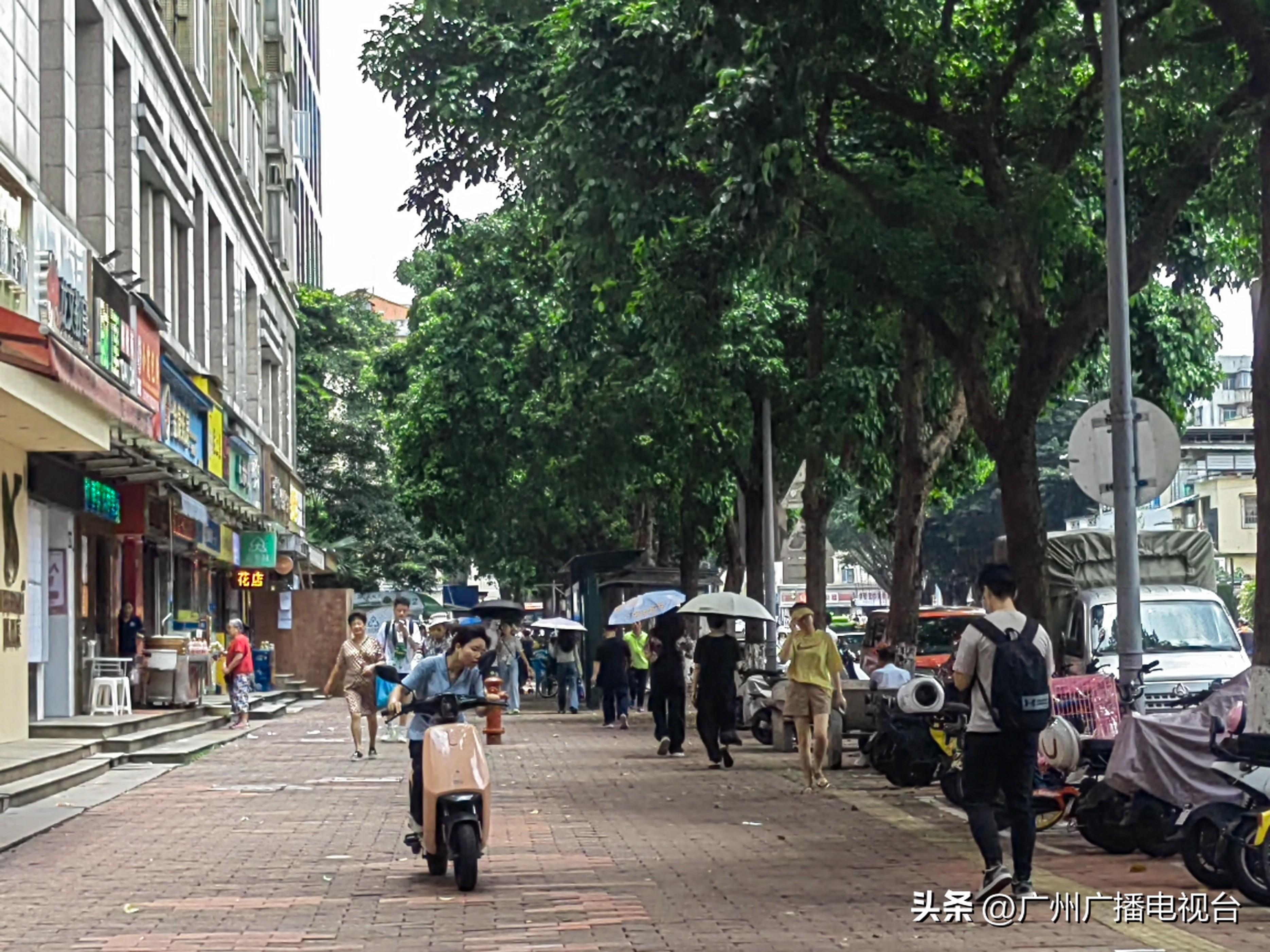 广州拟放宽入户条件，智慧抉择助力城市发展