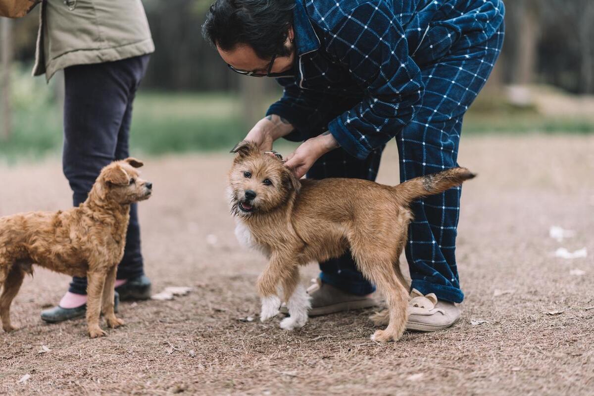 合法应对网络侵权行为的策略与措施