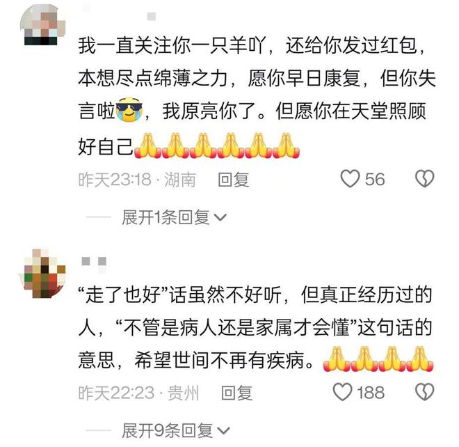 生命的坚韧与脆弱，纪念抗癌博主一只羊吖的离去之路