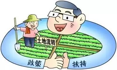 农村土地流转政策的优化探讨，寻求更高效的农村土地利用之道