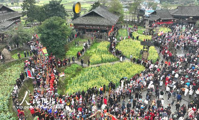 广西侗乡，茶旅融合吸引游客纷至沓来