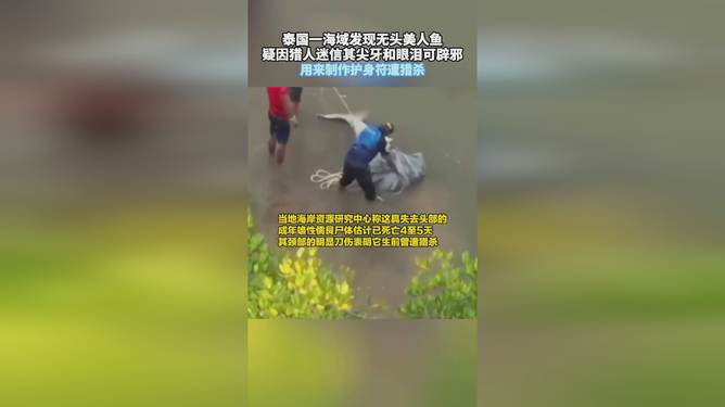 泰国海域美人鱼遭猎杀，生态危机警钟长鸣