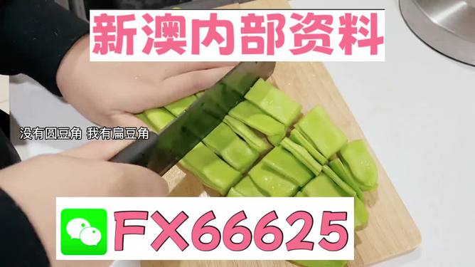 新澳精选资料免费提供,数据驱动智慧升级_擎宇版77.39.31