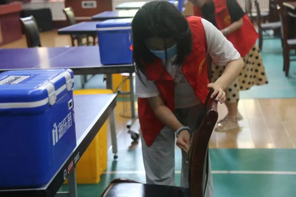 高校遭遇野猪狂奔，安全管理与生态平衡的双重挑战