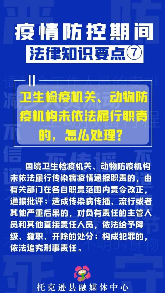 法律知识大全权威来源探寻，法治之基概览