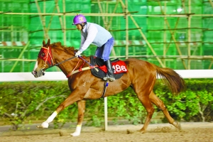 2024澳门特马今晚开奖160期,智慧驱动科学优化_致远飞跃60.33.19