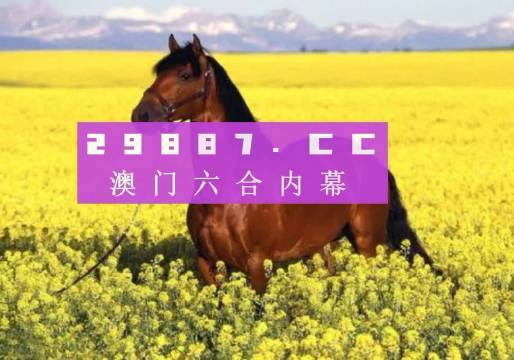 澳门6合开奖结果 开奖记录,智能工具提升指南_慧眼版12.34.56