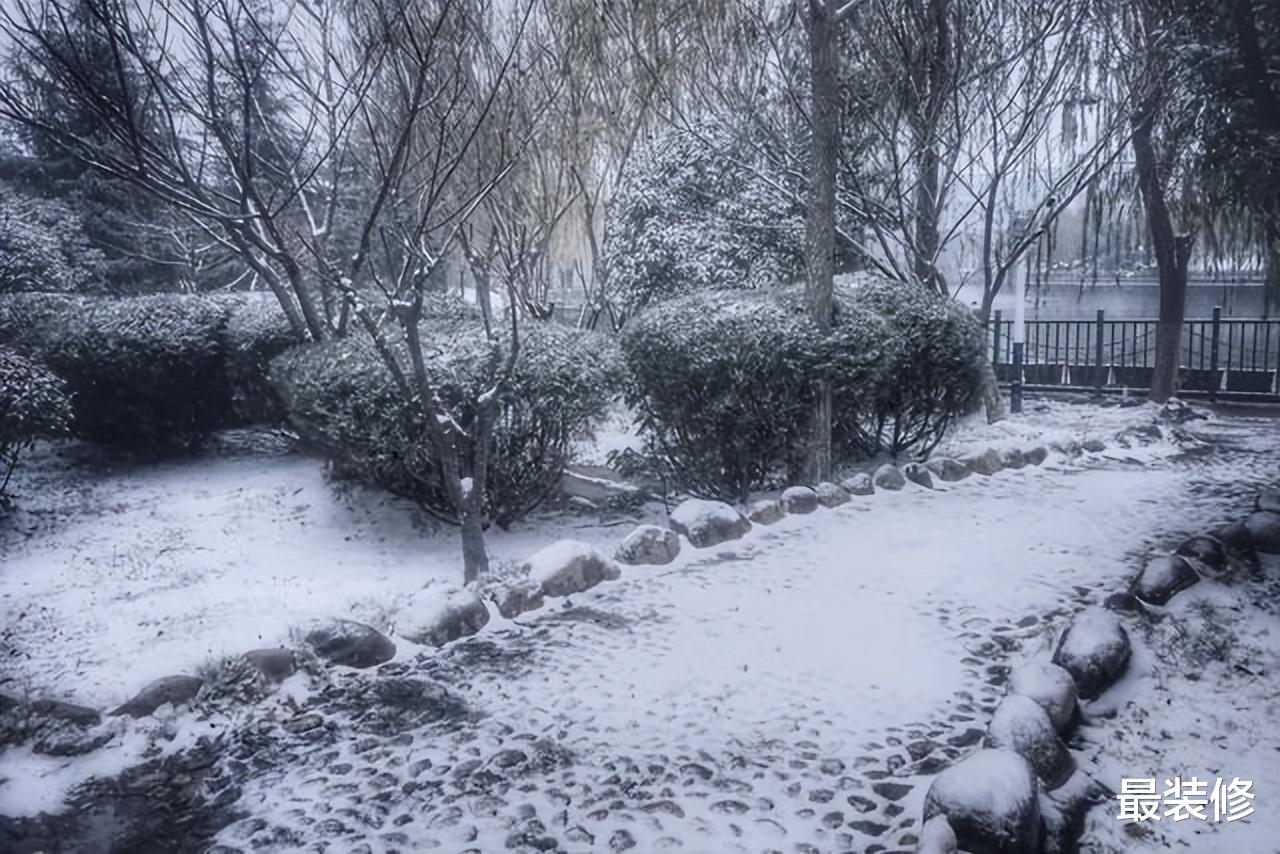 东北雪域，深寒发紫的冬日韵味