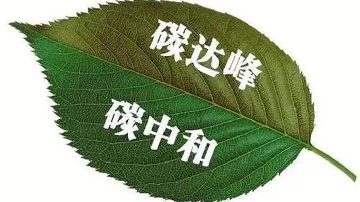 环保法律在推动碳中和目标实现中的角色探讨