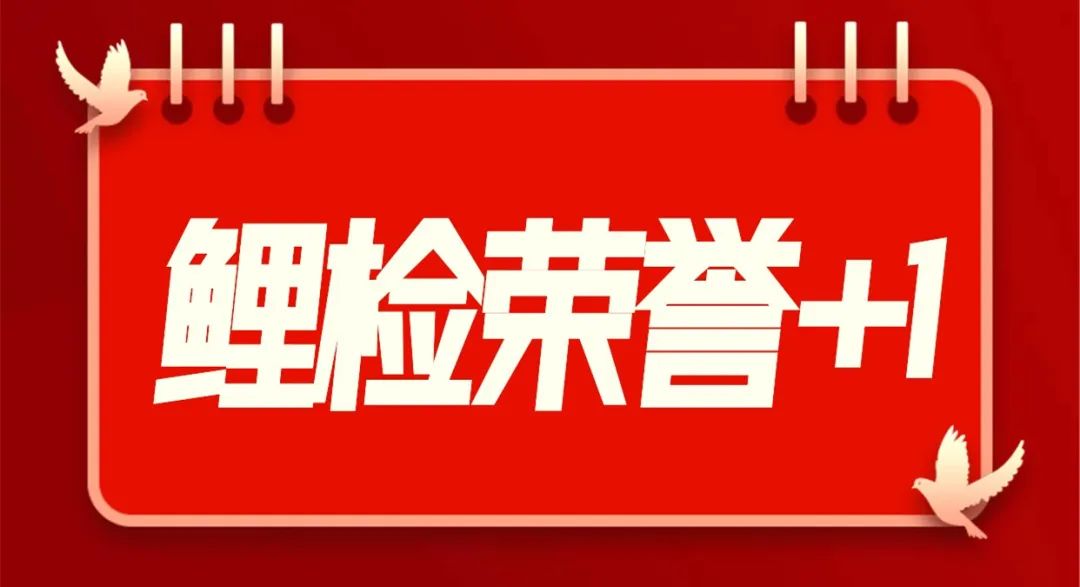 澳门管家婆一码中2024,优化规划方案实施_锐见版20.09.37