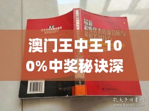 澳门王中王彩票探索，揭开神秘面纱的期期中揭秘