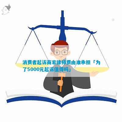 消费者购买纠纷的法律审查，权益与责任的交汇点解析