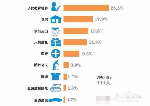 优化家庭支出，节省日常开销的策略与技巧