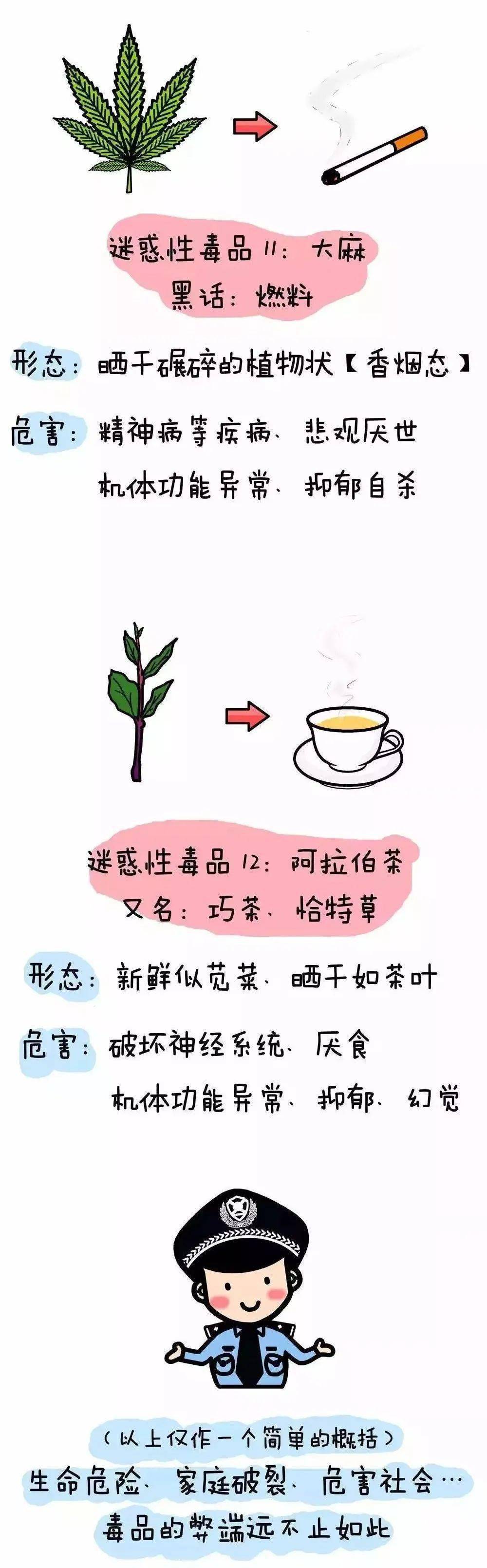 毒品犯罪的法律惩治机制研究