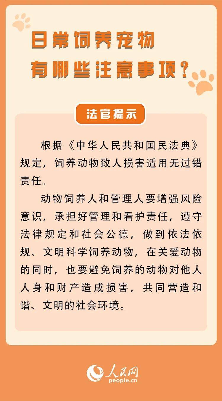 宠物饲养中的法律责任详解