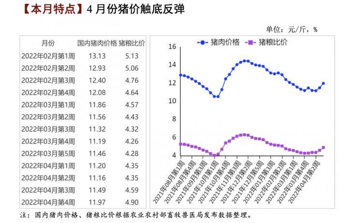 猪价反弹在即，市场趋势深度分析与预测