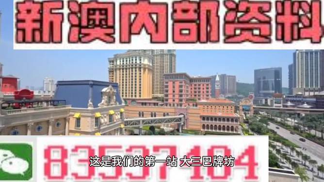 新澳2024年精准资料220期深度解析