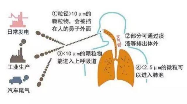 慢性阻塞性肺疾病的康复与生活指导策略