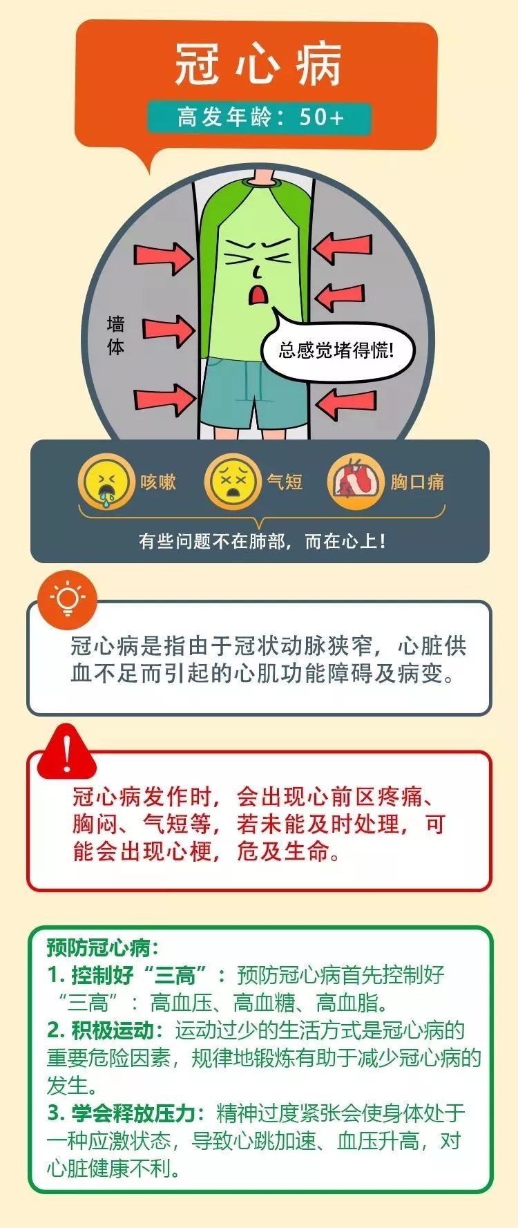 肥胖对心血管疾病的潜在风险与干预策略探究