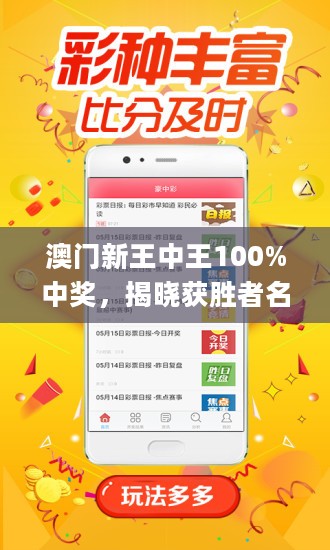 新澳门王中王100%期期中,方案优化路径解析_智识版98.00.31