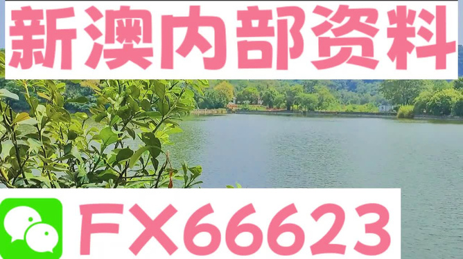 新澳精准资料免费提供265期,数字化驱动技术发展_探索版41.75.21