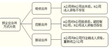 企业合并法律手续详解及注意事项指南