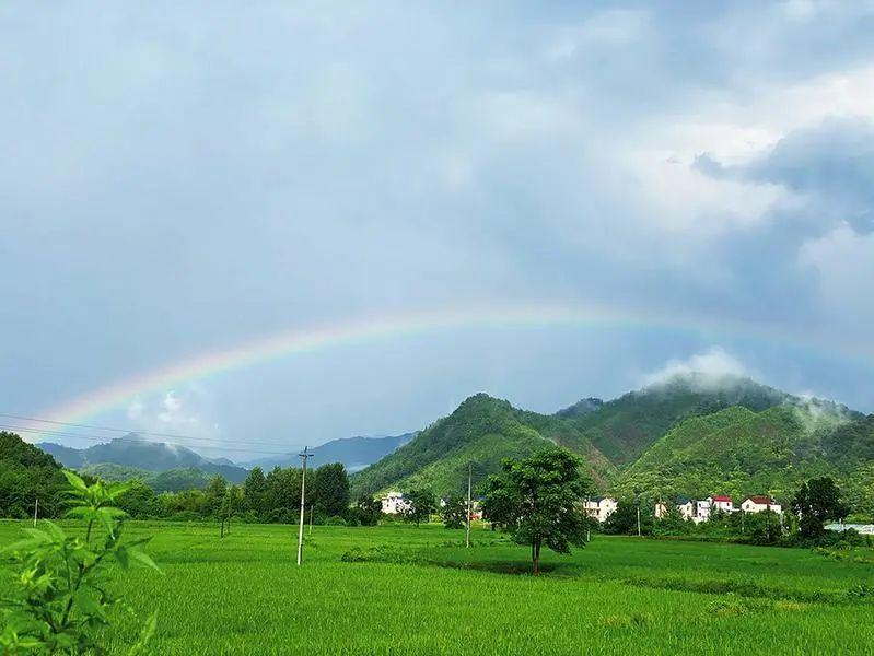 绿色旅游蓄势待发，生态旅游理念成新宠