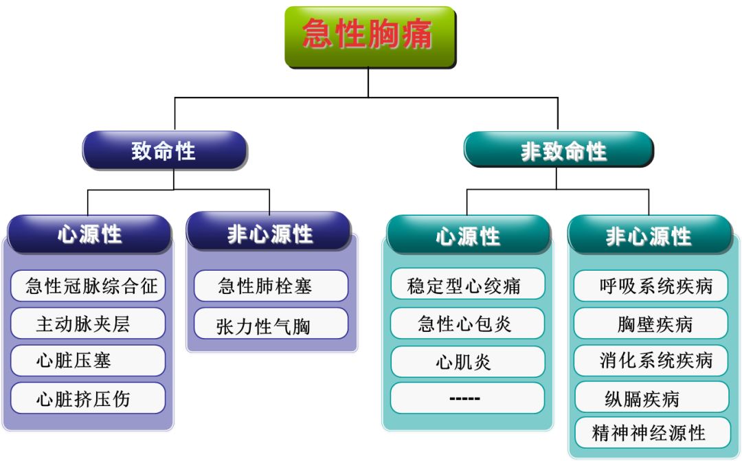 胸痛原因解析与心血管急诊判断依据探讨