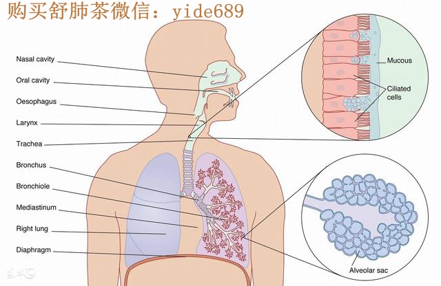 食道癌的病因分析及术后康复护理指南