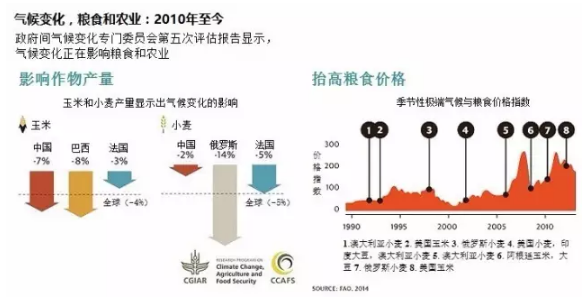 气候变化对粮食产量影响的加剧趋势分析