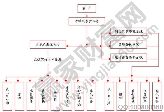 收养子女的法律流程与注意事项全面解析