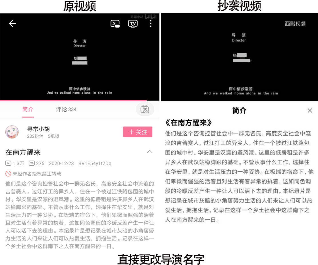 版权保护，有效防止作品被盗用的策略与措施