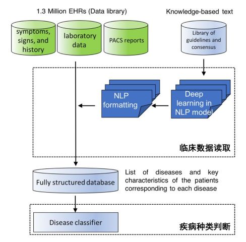 AI辅助医疗诊断系统获批应用，开启精准诊疗新纪元