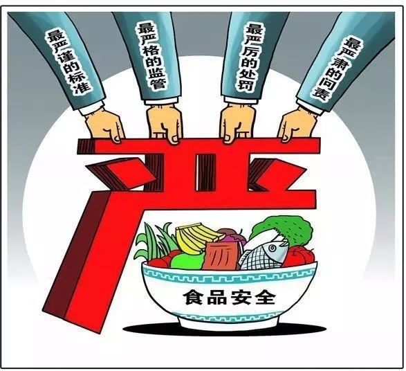 校园食品安全问题亟待解决，呼吁强化监管并加大处罚力度