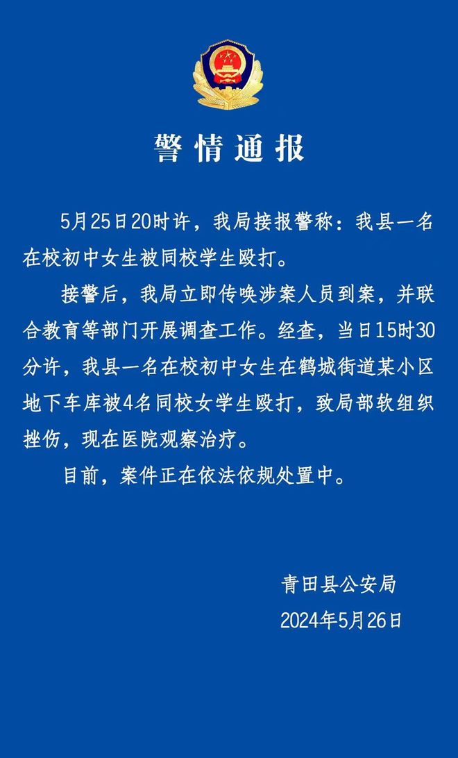 在校学生打架事件的法律处理策略