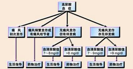 高尿酸血症患者的药物治疗与生活习惯调整策略探讨