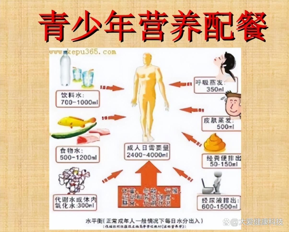 健康饮食结构助力青少年预防营养失衡的秘诀