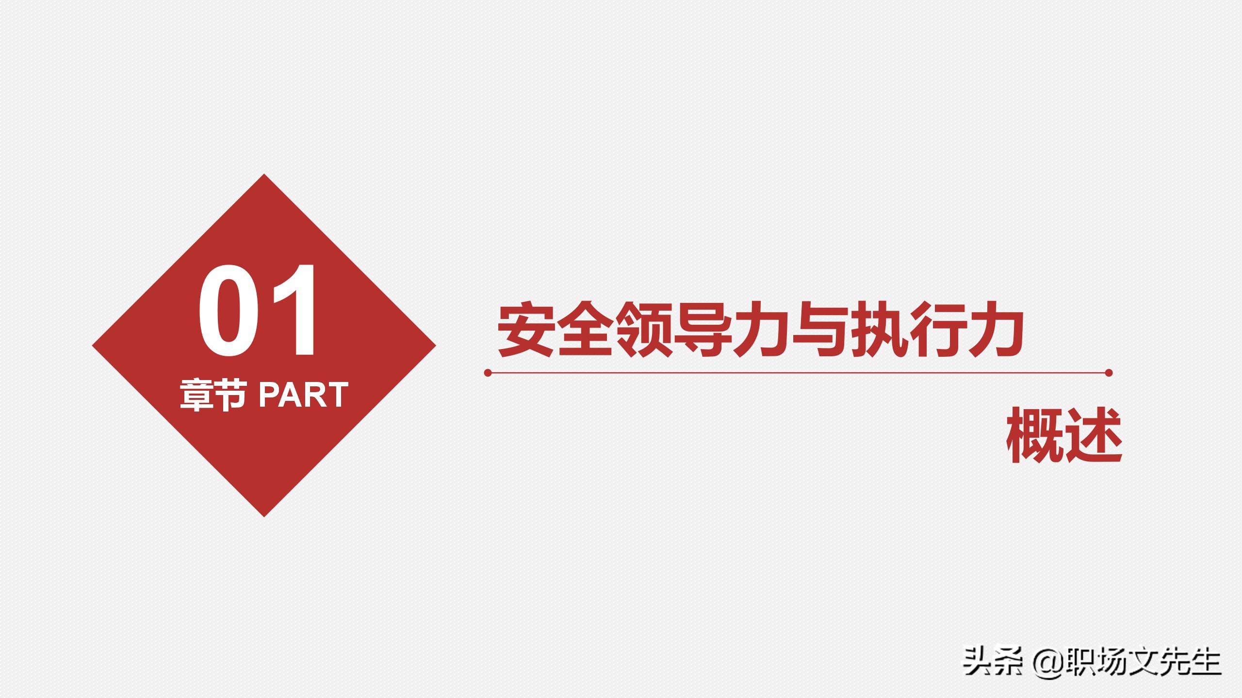 公共安全法治建设中的法律制度与执行力提升研究