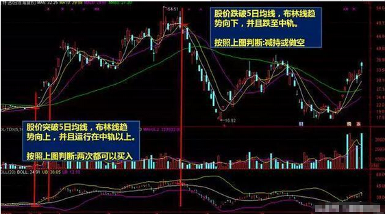 一码一肖100%的资料：精准把握知识的要义与精髓